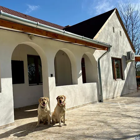 Sarffy Vendeghaz Apartment Szoce Exterior photo