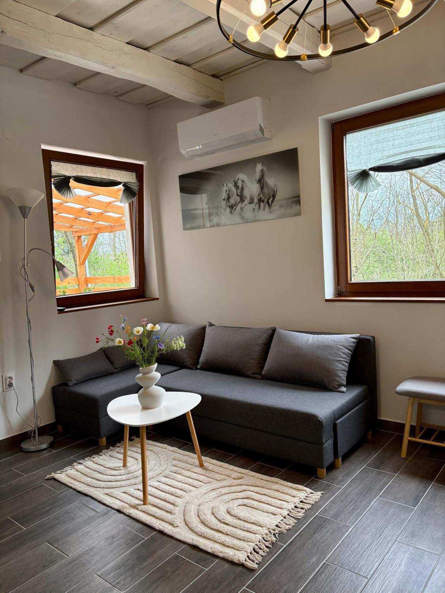 Sarffy Vendeghaz Apartment Szoce